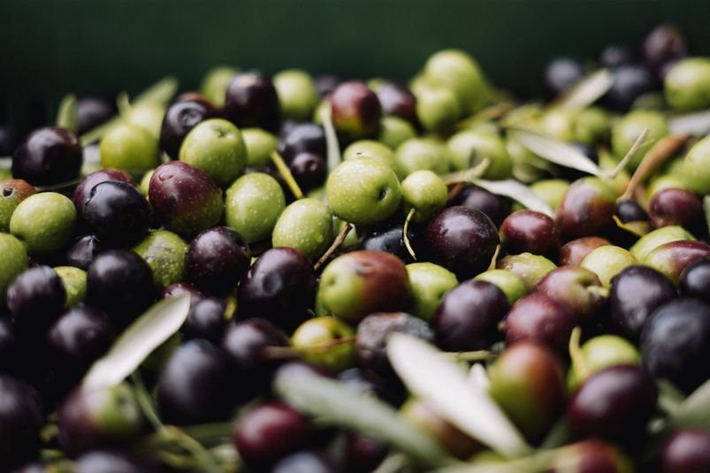 Italy encourages olive cultivation through a €1.5 million scheme.